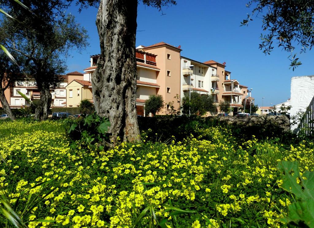 Borgo degli Ulivi room 3
